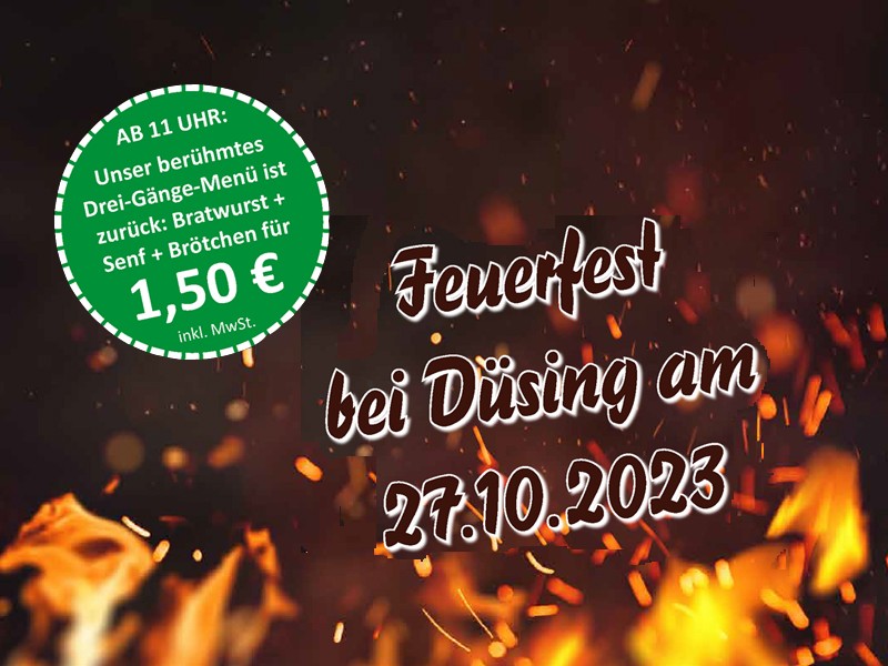 Duesing-Feuerfest800